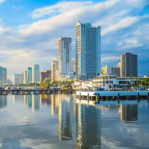 The Philippine Society of Cosmetic Surgery
